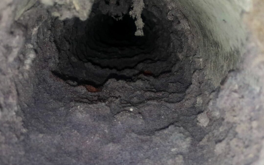 Revealed: The Surprising Impact of Neglecting Your Dryer Vent Cleaning